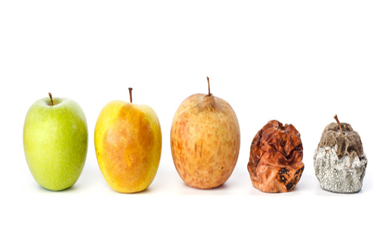 increase-fruits-or-vegetables-life