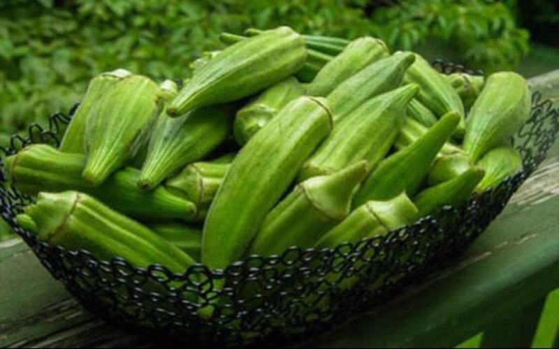ladyfinger