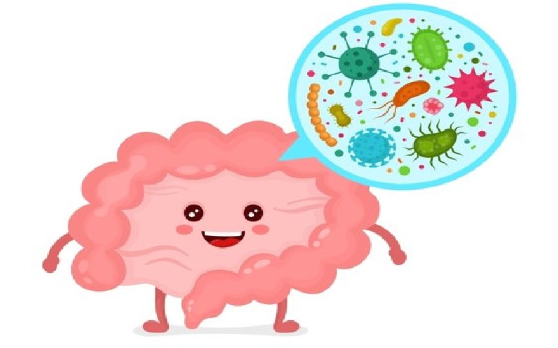 probiotic