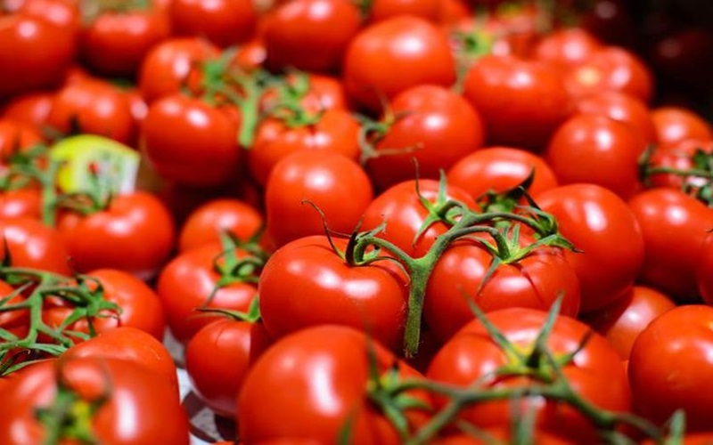 tomatoes