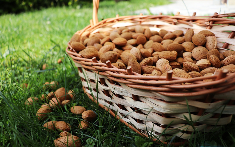almonds