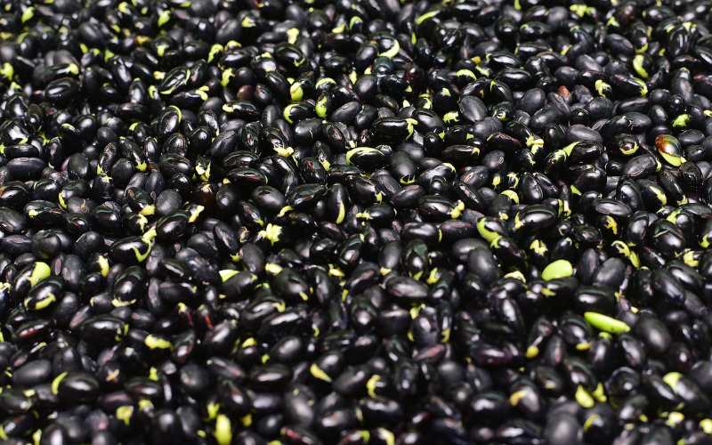 black-beans