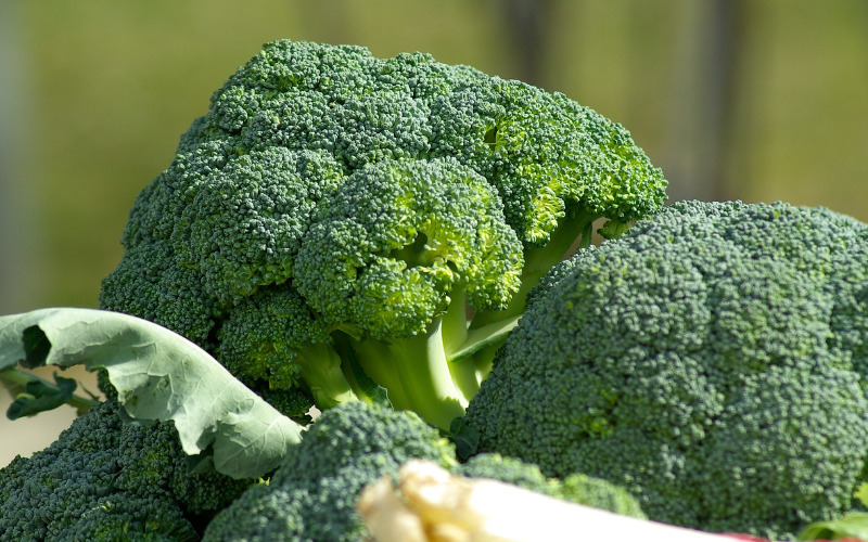 broccoli