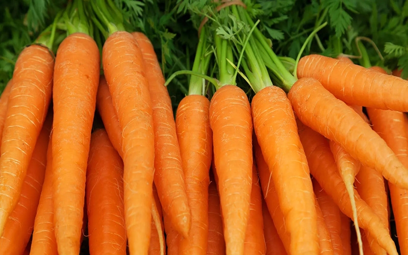 carrots