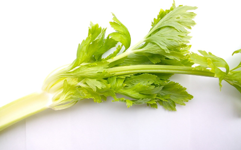 celery