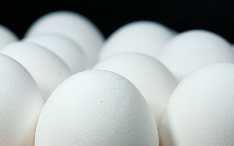 eggs