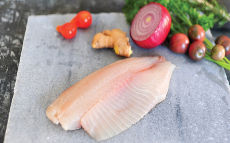 fresh-or-frozen-fish