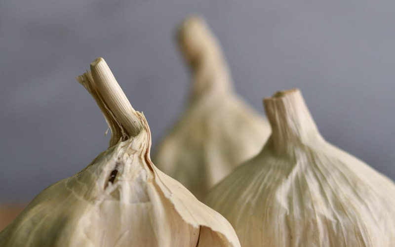 garlic