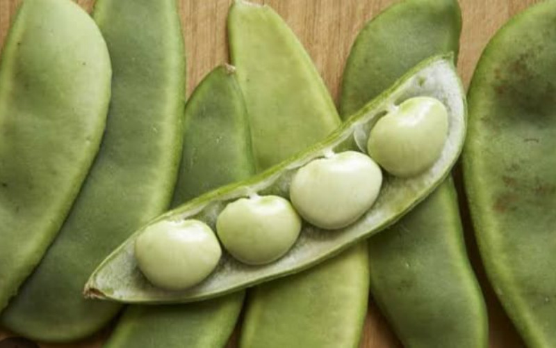 lima-beans