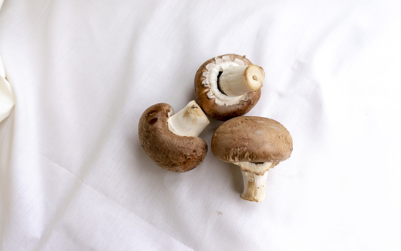 mushrooms