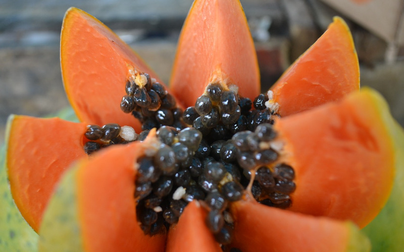 papaya