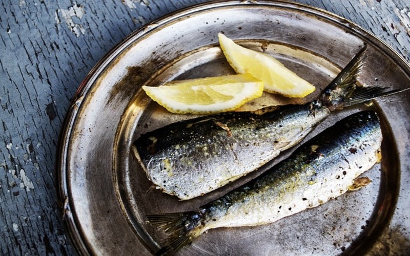 sardines