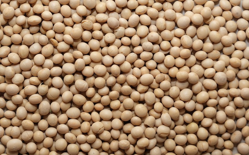 soybeans