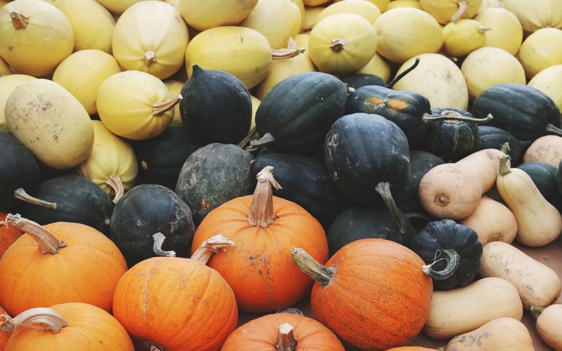squash