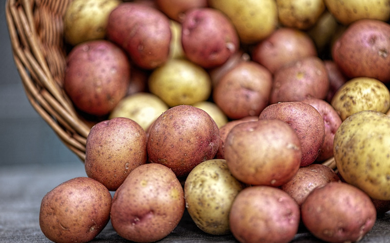 sweet-potato