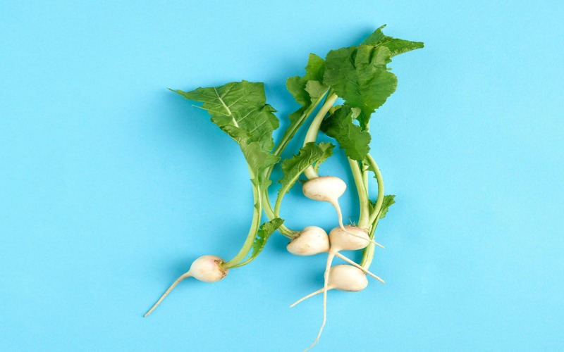 turnip