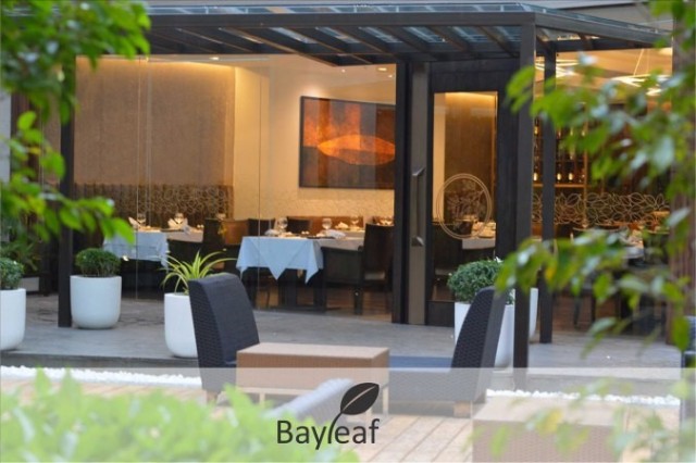 bay-leaf