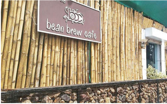 bean-brew-2