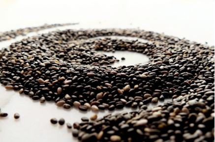 chia-seed-meal