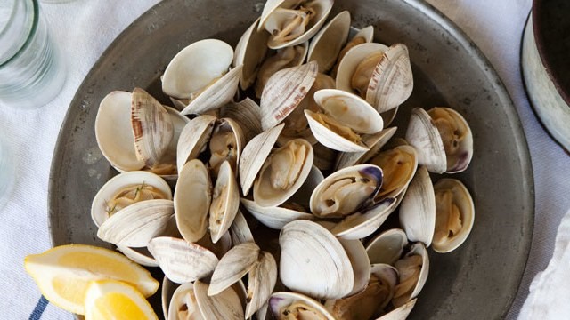 clams