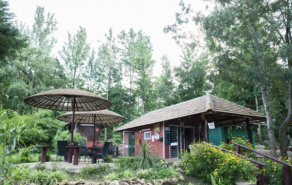 coffee-barn-cafe