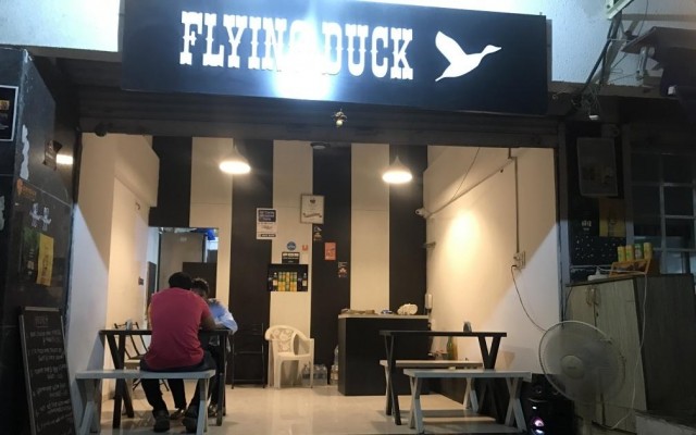 flying-duck-1