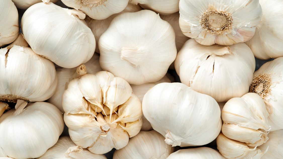 garlic