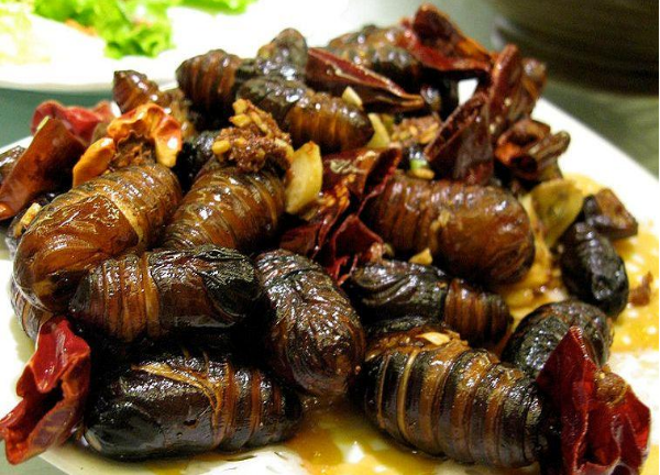 silkworm