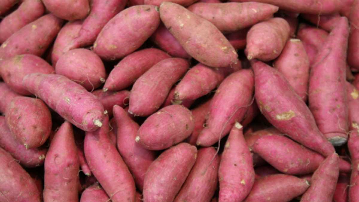 sweet potato