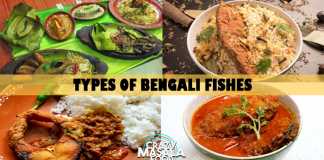 Types of Bengali Fishes